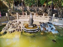 -西安大兴善寺
