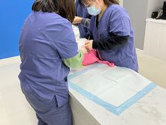 -福州肆爪动物医院