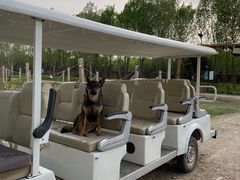 -安德鲁户外烧烤帐篷营地(马泉营店)