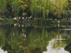 -西湖游船