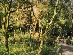 -西湖风景区-江洋畈生态公园