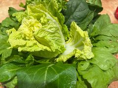 -神洲四海大酒楼(王府井澳门中心店)