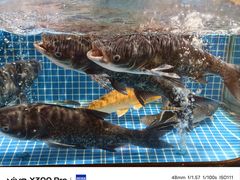 -许爷家·生态湖鲜(徐汇日月光店)