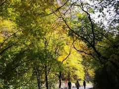 -北京上方山国家森林公园