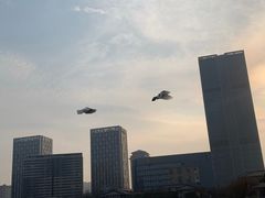 -聚龙湖公园