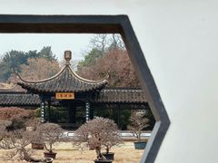 -扬州大运河文化旅游度假区·盆景园