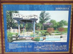 -成都市活水公园