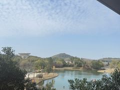 -上海佘山世茂艾美酒店