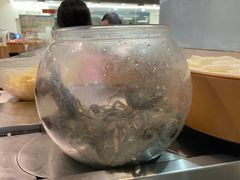 -川锅·火锅·烤肉自助餐厅