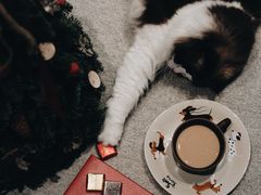 -布歌东京(益田假日店)