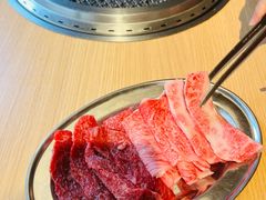 -和牛放题的殿堂 肉屋横丁(秋叶原店)