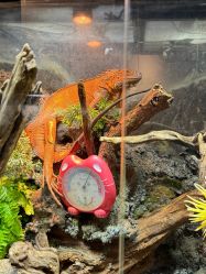 -未来动物城主题公园(正弘城店)