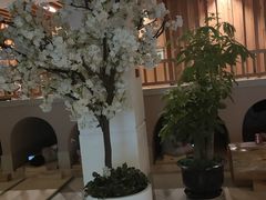 -热带雨林汗蒸馆(汶水东路店)