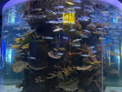 -石家庄海洋公园
