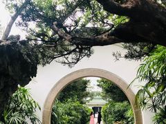 -广州兰圃