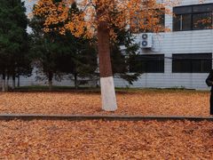 -辽宁大学(崇山校区)