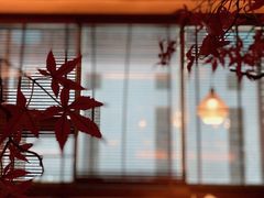 -揽季锅物会.福建黄鱼.海鲜姿造(五四路店)