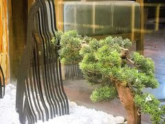 -霸王茶姬(南强街店)