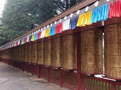-云南民族村