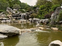 -东莞植物园