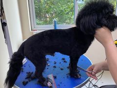 -艾贝尔宠物医院(华府骏苑店)