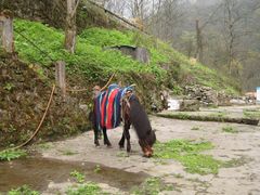 -西岭雪山大飞水景区
