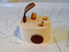 -BLACKSWAN黑天鹅(环球店)