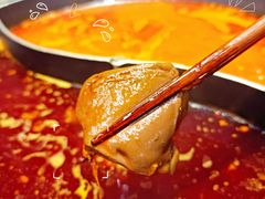 -园里火锅(仁和新城店)