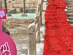 -洛阳白云山景区