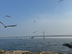 -星海广场
