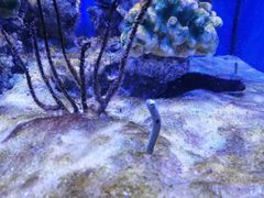 -多彩贵州城极地海洋世界