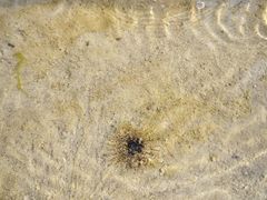 -北海金海湾红树林生态旅游区