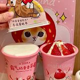 奈雪✖鲨鱼猫！要被奈雪毛孩子萌化了