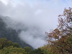 -少华山国家森林公园