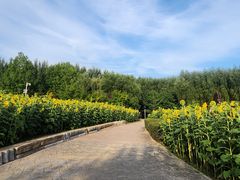 -长春公园(普阳街道)