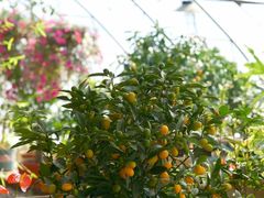 -北马山庄植趣咖啡