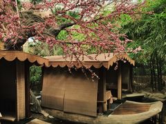 -世外桃源农庄·德清土菜(兴康南路店)