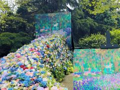 -上海共青森林公园