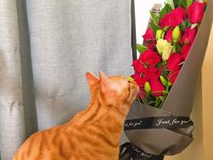 -邢氏老太太烧烤(南山店)