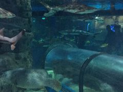 -福州罗源湾海洋世界旅游区