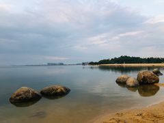 -瑶湖郊野森林公园