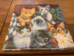 -李小姐の猫咖啡馆(五角场店)