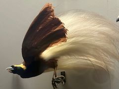 -天津自然博物馆