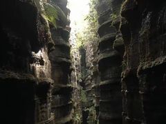 -梭布垭石林景区