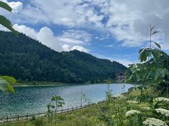 -武陵山森林公园