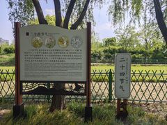 -长兴太湖图影湿地文化园