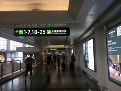 -厦门高崎国际机场-T3航站楼