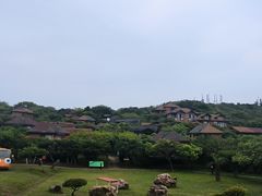 -杨梅坑