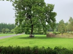 -宜兴龙背山森林公园
