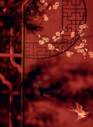 -DC大蔡婚礼策划(李公堤店)